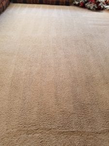 Arnold's Advanced Carpet Cleaning