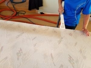 Arnold's Advanced Carpet Cleaning